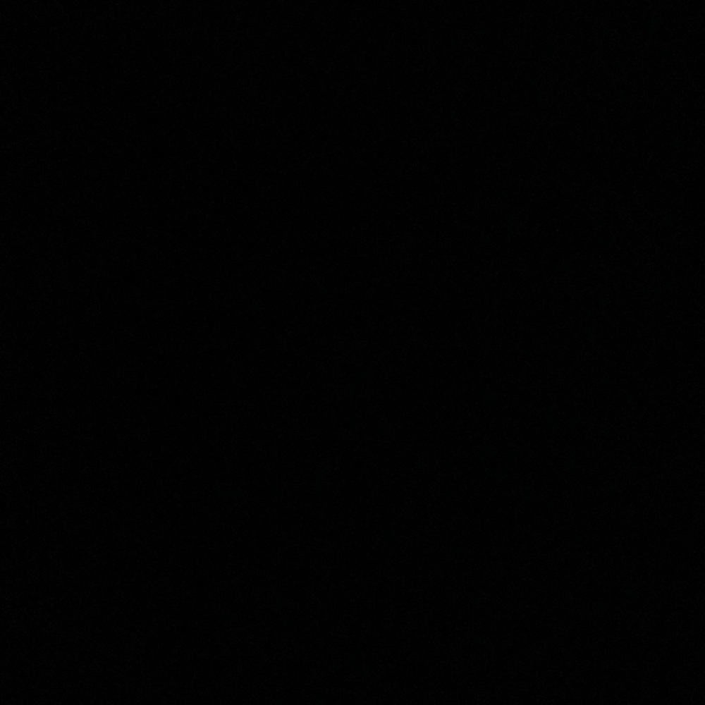 IGNORE